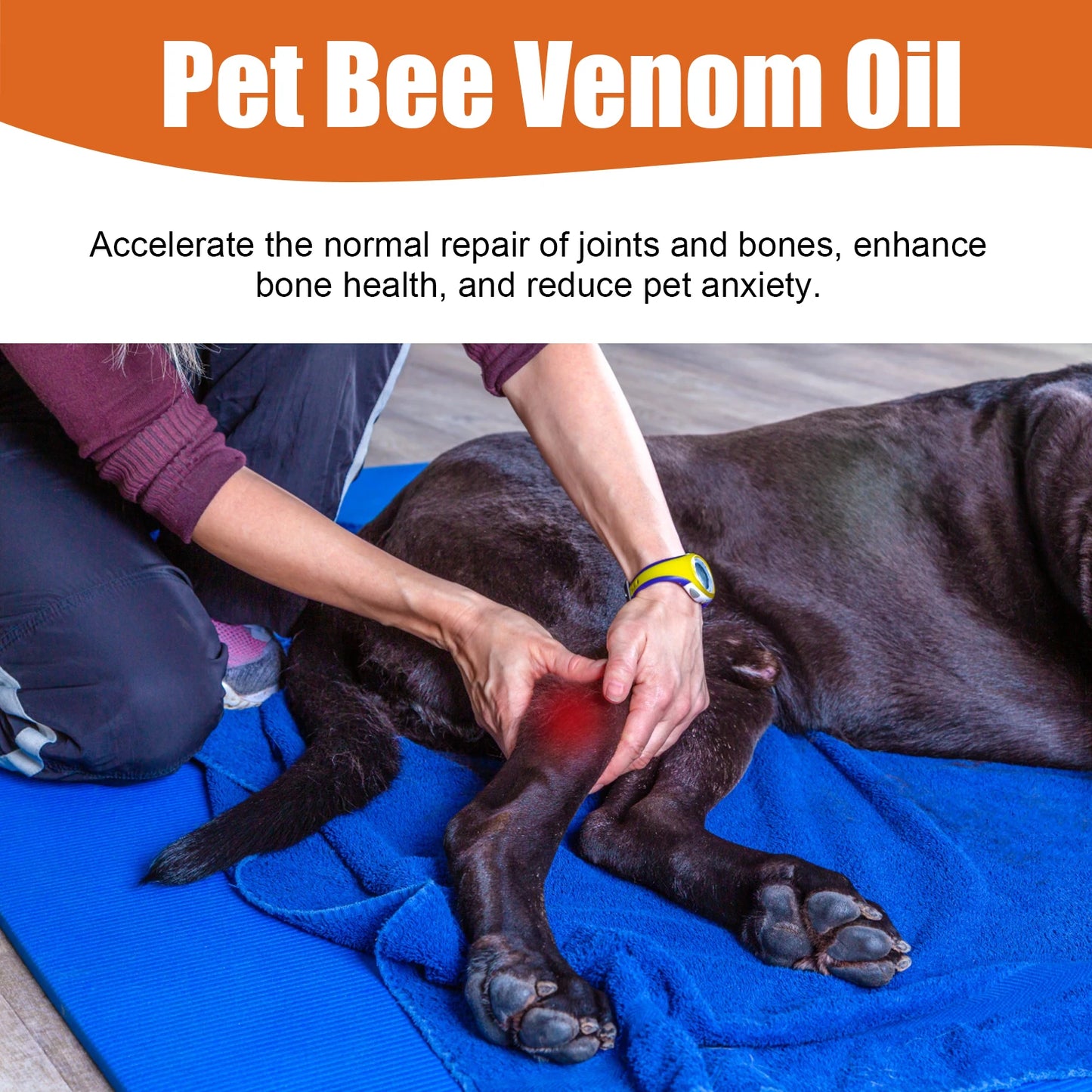 Pet Bee Venom Water Saving Cats Dogs To Relieve Leg Joint And Hip Pain Care Water-Contains Bee Venom Vitamin