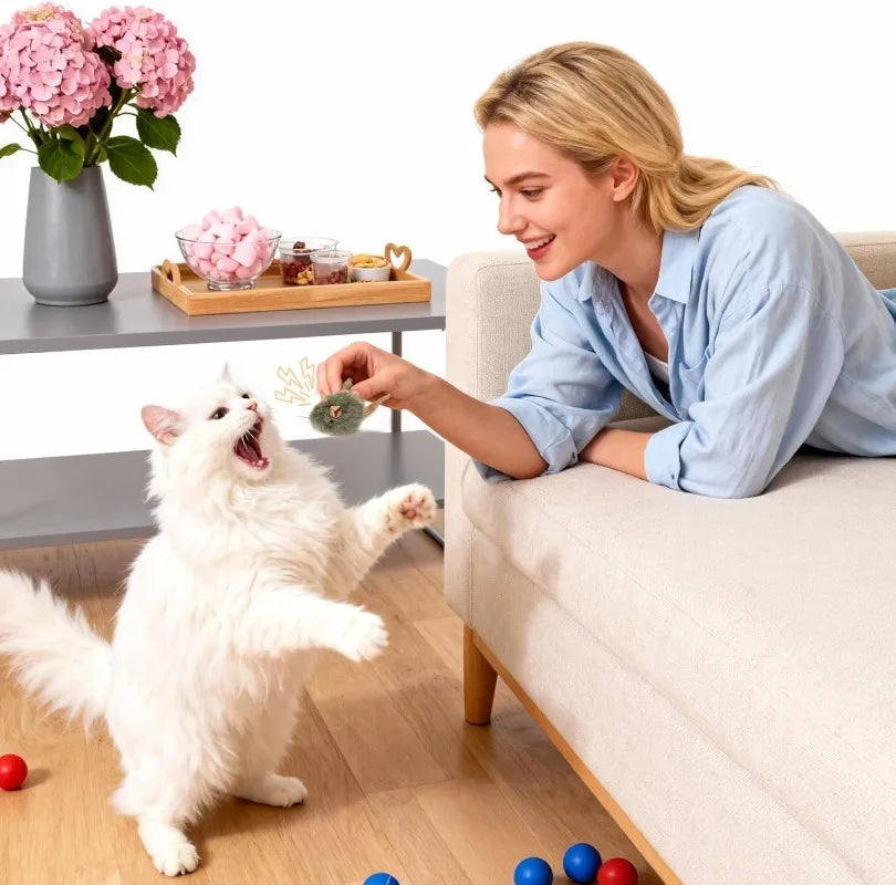 Interactive Plush Mouse Cat Chew Toy Simulated Squeaking Mice Bite-resistant Kitten Toy Kitten Biting Running Rat Toy Pet Supply