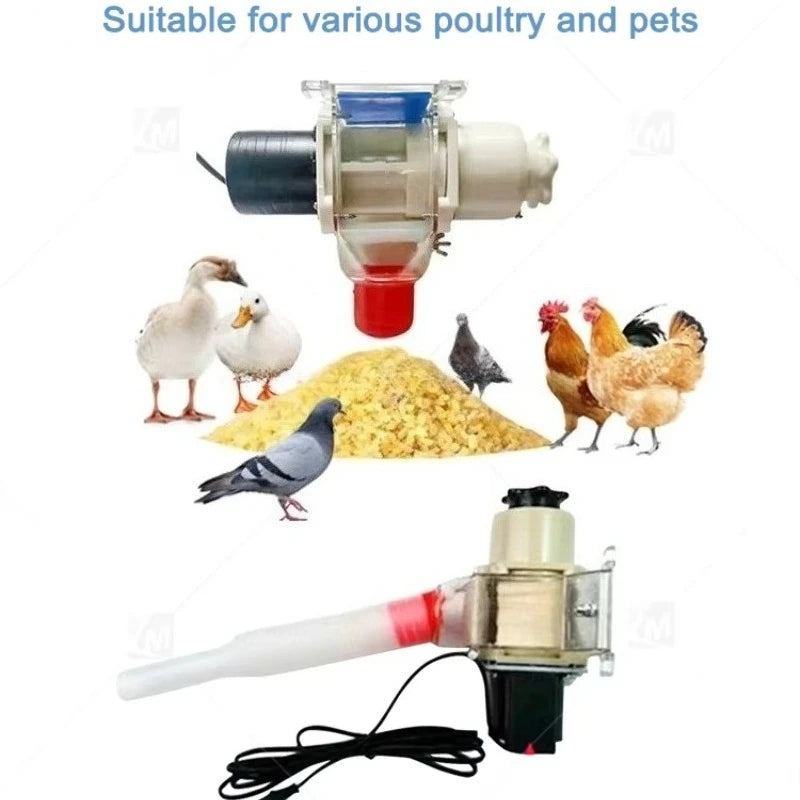 Automatic Pigeon Feeder Port with Timer Function Chicken and Duck Feeding Breeding Poultry