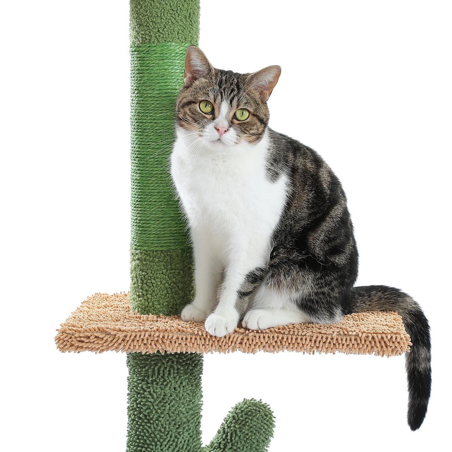 Adjustable Floor-to-Ceiling Vertical Cat Tree Tower Stable Tall Cat Climbing Tree Cat Kittens Cat Toy Suitable for Indoor Cats