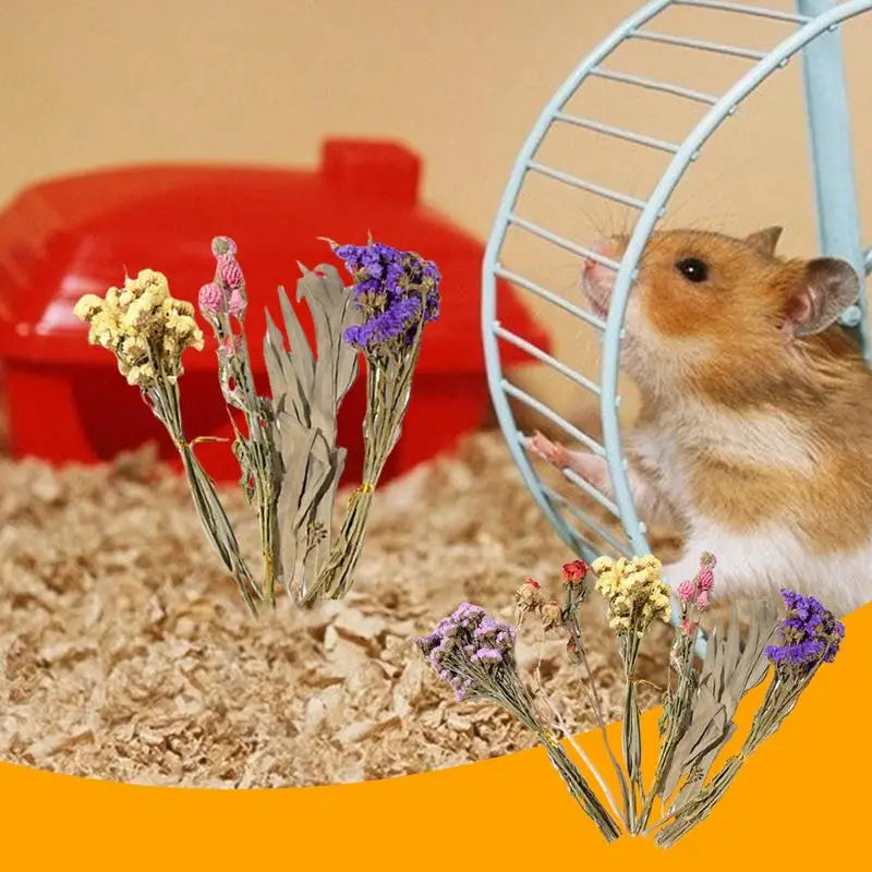 Flower Hamster Bedding Dried Flowers And Grass Hamster Cage Decoration Animal Deodorant Hamster Landscaping Supplies