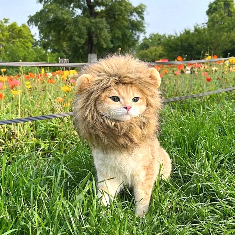 Cat Cosplay Dress Up Pet Hat Lion Mane for Cat Puppy Lion Wig Costume Party Decoration Halloween Christmas Cat Pet Supplies