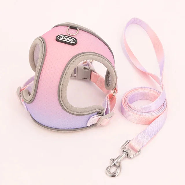 1pc Dog Harness  Small, Medium Ombre Harness and Leash Set. Air tag cat collar Leash Flea  tick control