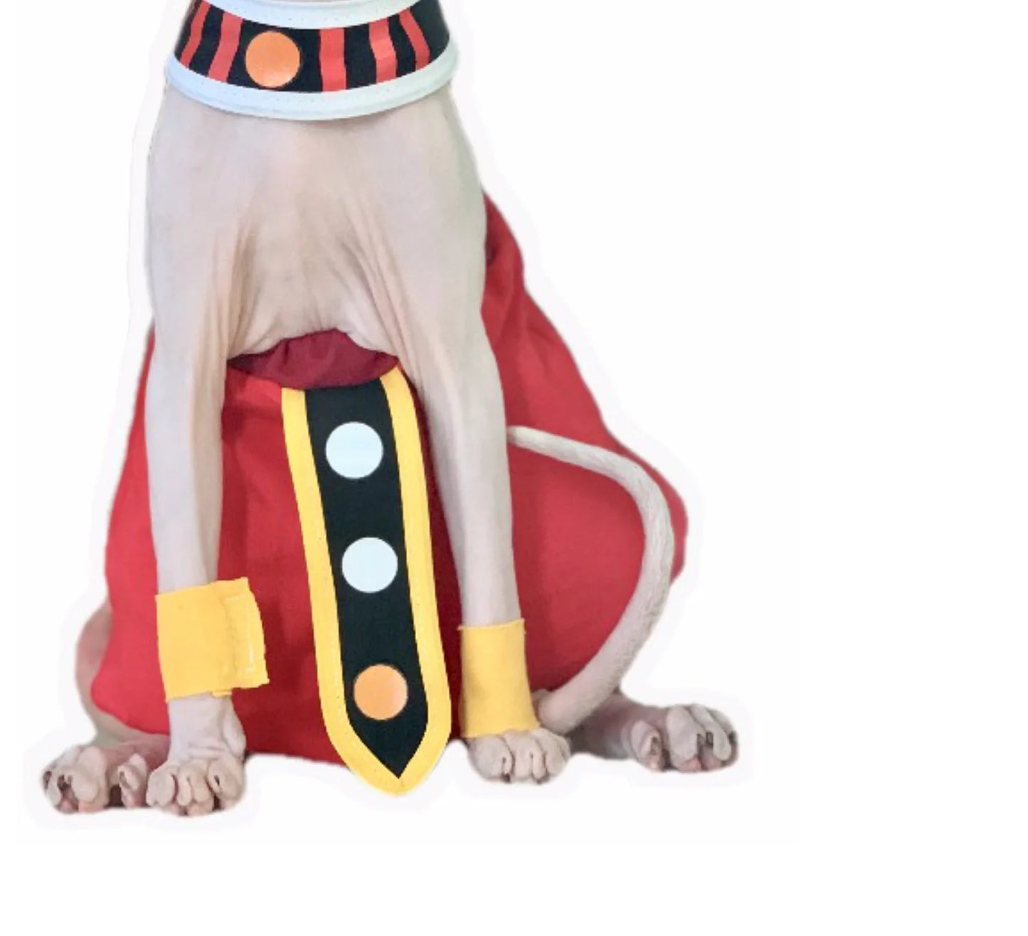 Handmade Sphinx Cosplay Cat Costumes Hairless Cat Clothes Cats Costumes Crotch-Proof Trousers Cat Clothes