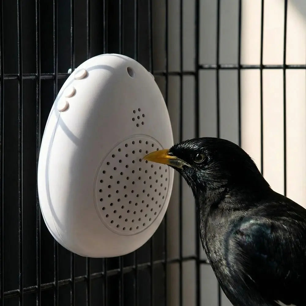 Recording Bird Learning Machine Interactive Timer-Controlled Speech Training Machine Playback Multi Segment Audio Source