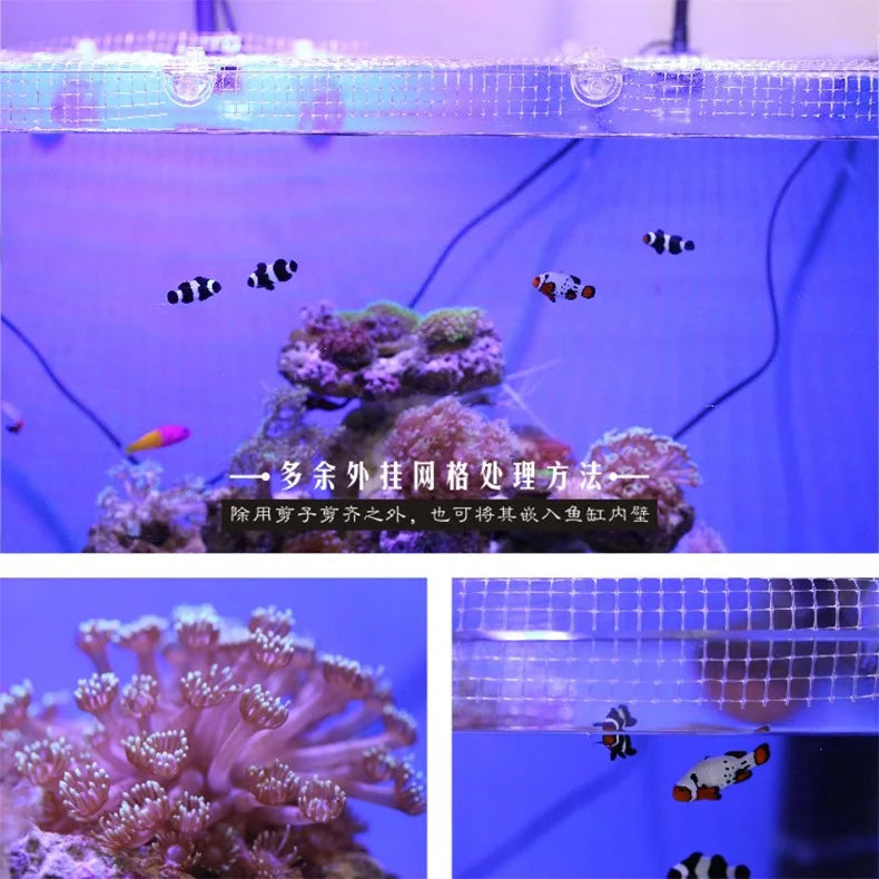 Aquarium Accessories Fish Tank Net Holder Acrylic Transparent PP Anti-Jump Net Clamp Fixed Clip Aquarium Cover Holder Clips