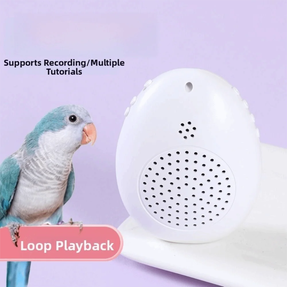 Recording Bird Learning Machine Interactive Timer-Controlled Speech Training Machine Playback Multi Segment Audio Source