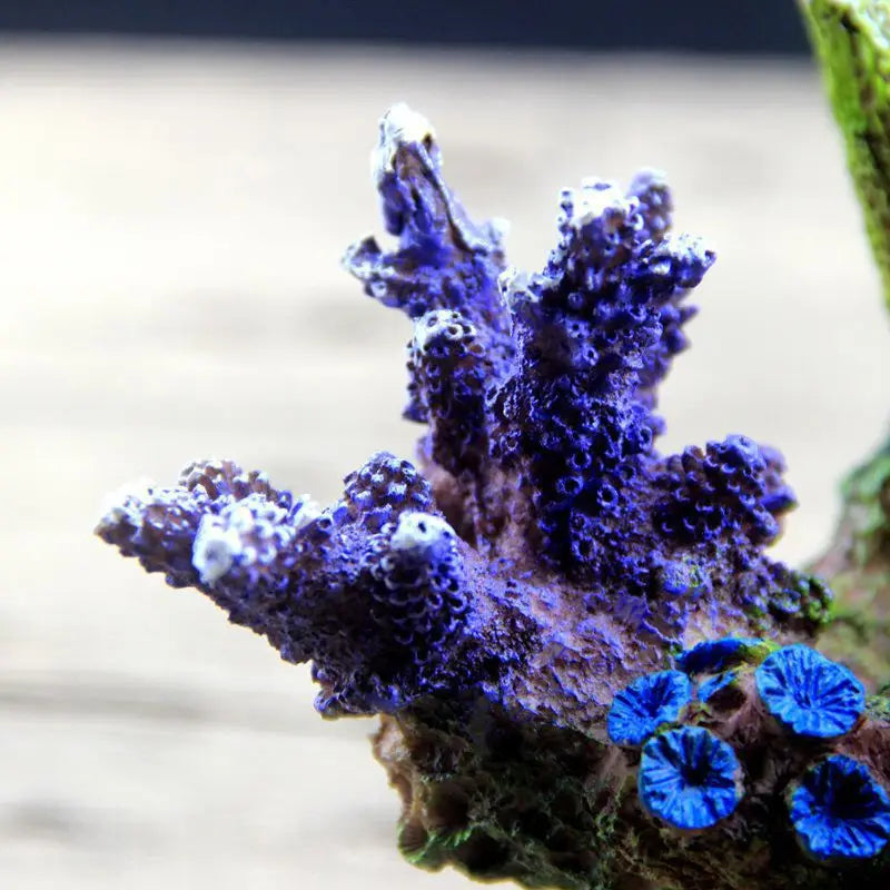 Fish for Tank Coral Decorations Artificial Resin Coral Cave House Betta 6XDE