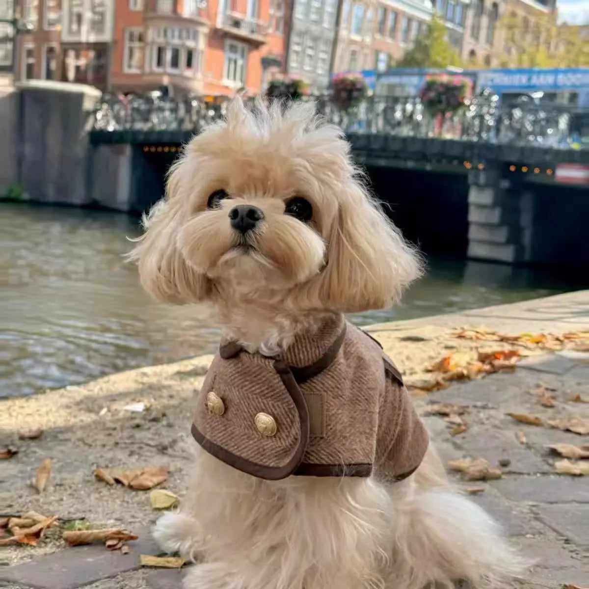 Fashionable British-Style Brown Pet Coat With Woolen Fabric - Dog Clothing