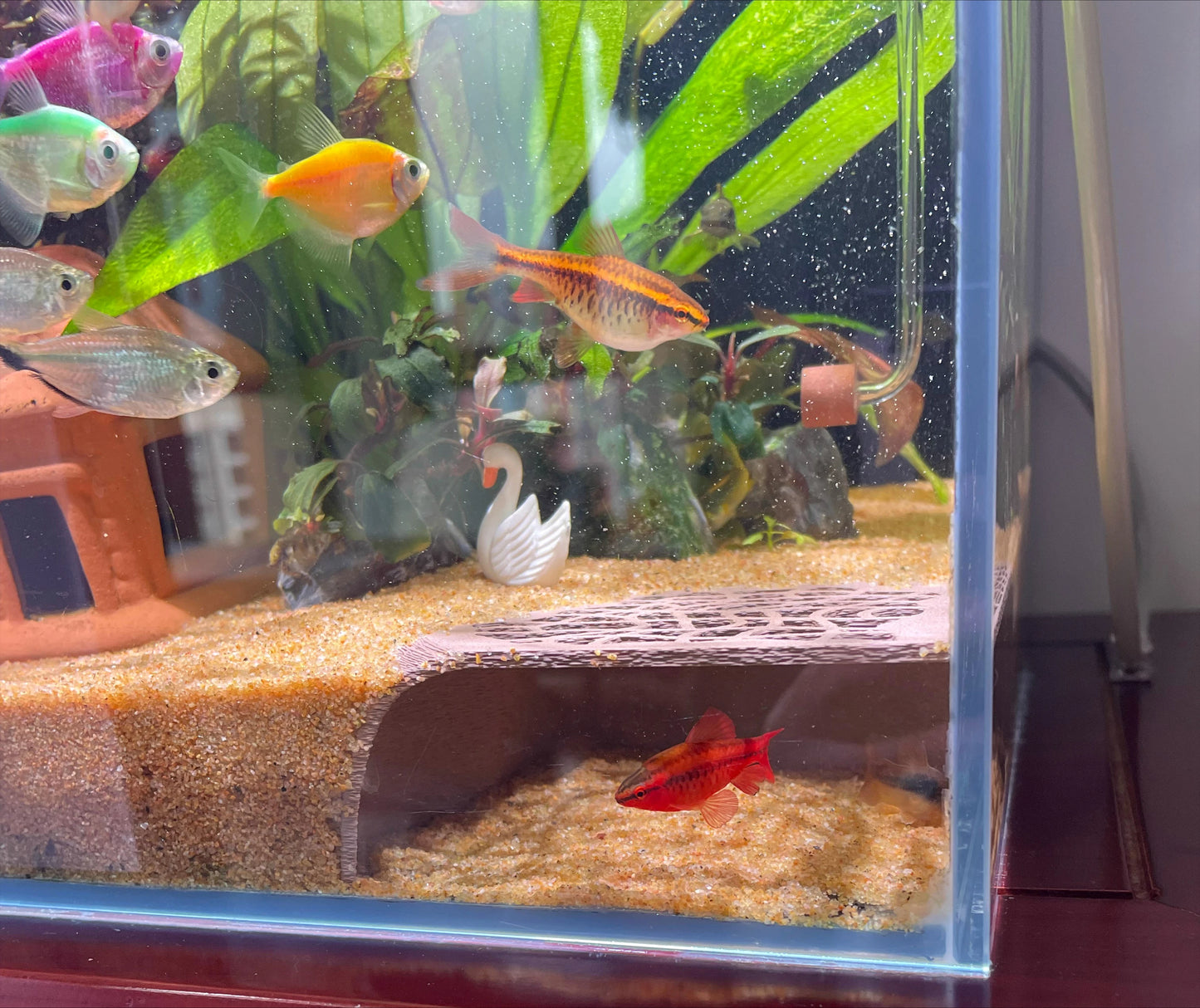 Fish Tank Hiding Cave for Small Fish and Shrimp Reptile Breeding Rest Play, Underground Cave, Aquarium Landscape Decoration