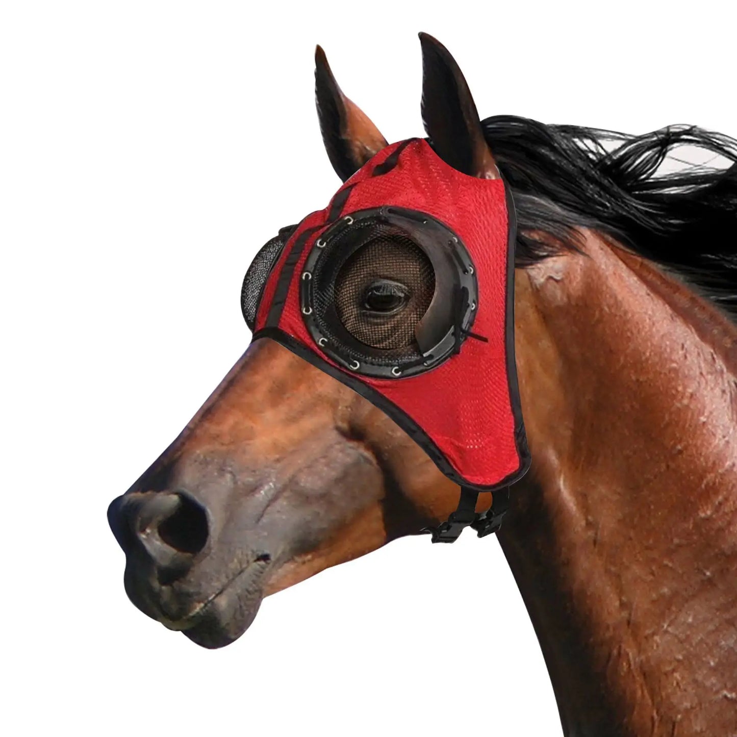 Horse racing eye mask windproof eye mask speed racing eye mask with mesh eye mask to prevent trachoma