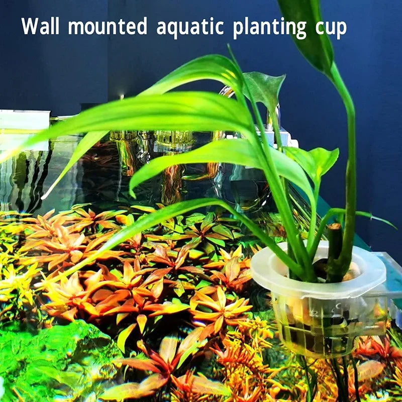 Aquatic Plant Hanging Holder Adjustable Fish Tank Planter Cups with Hole Aquarium Planter Cups for Aquascape Decoration