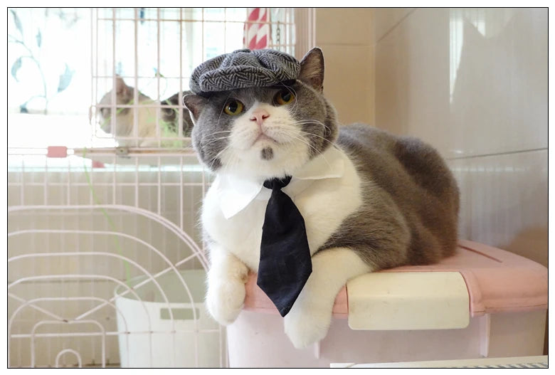 Funny Pet Cat Hat and tie Gentleman's Hat Beret Tie Bathing Blood Gangster Handsome Cosplay Photo Prop Pet Halloween Costume