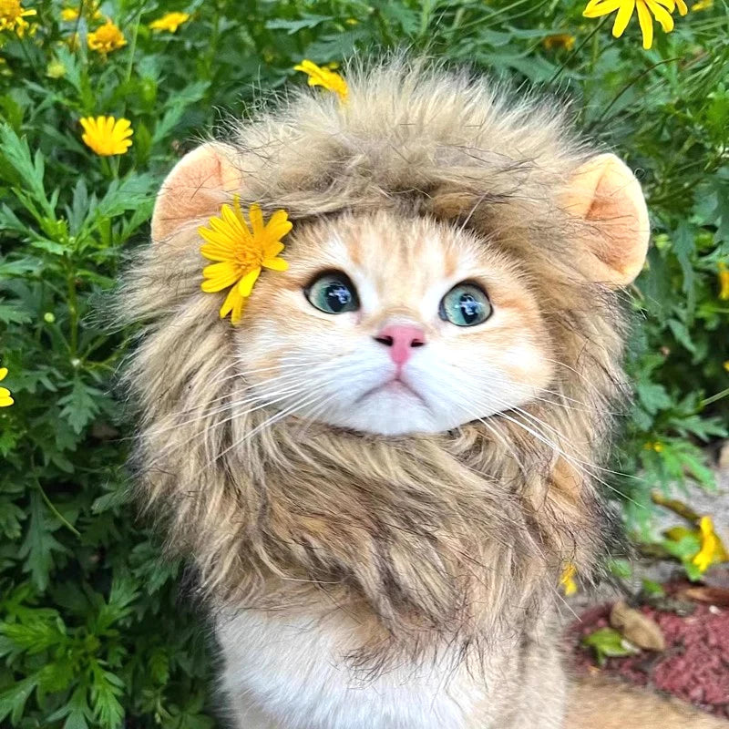 Cat Cosplay Dress Up Pet Hat Lion Mane for Cat Puppy Lion Wig Costume Party Decoration Halloween Christmas Cat Pet Supplies