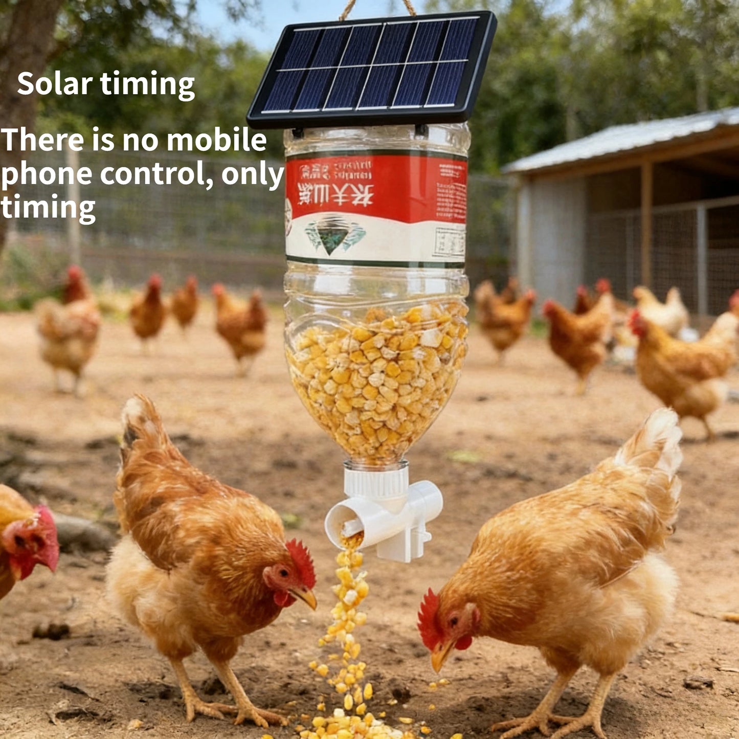 WIFI Poultry automatic timing feeder Chicken, Duck, Goose, Pigeon trough fish pond feeder