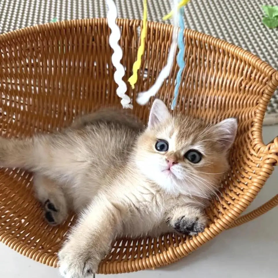 Faux-Woven Cat Bed Nest Cat Basket Cats Swing Hammock Waterproof Indoor Pet House Semi-Enclosed Cave Bed Pet Accessories