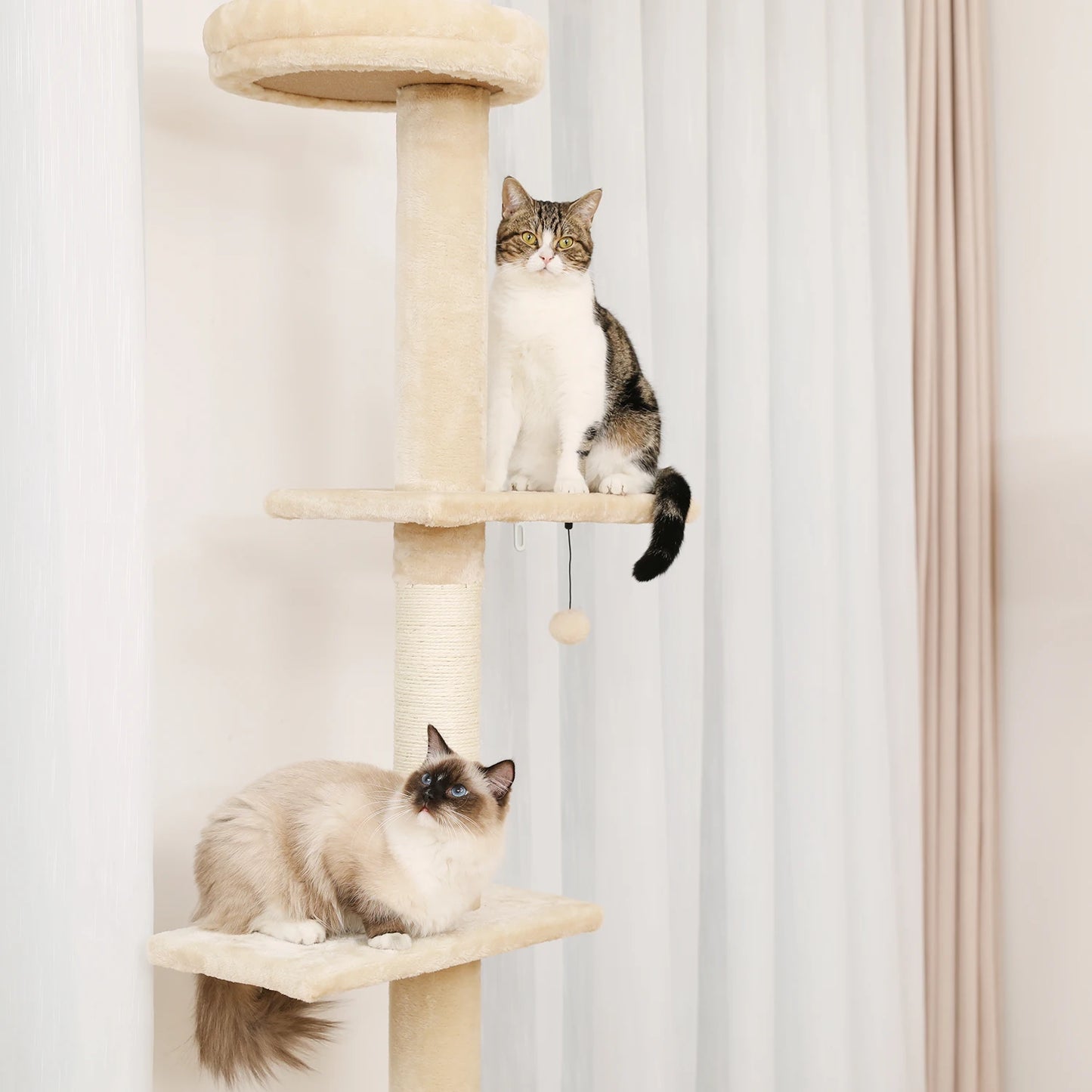 Adjustable Floor-to-Ceiling Vertical Cat Tree Tower Stable Tall Cat Climbing Tree Cat Kittens Cat Toy Suitable for Indoor Cats