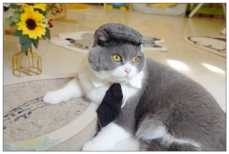 Funny Pet Cat Hat and tie Gentleman's Hat Beret Tie Bathing Blood Gangster Handsome Cosplay Photo Prop Pet Halloween Costume