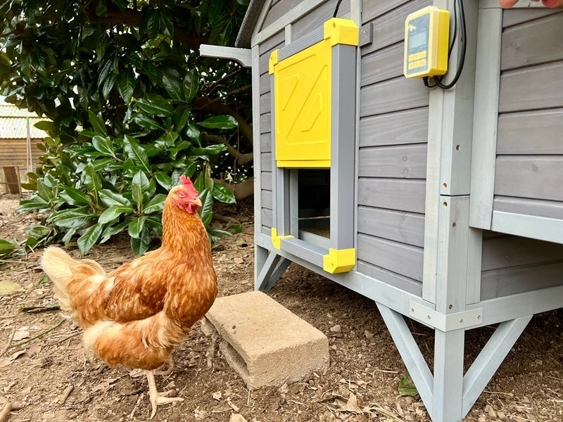 Portable Wooden Chicken Coop with Nesting Box with Sturdy Iron Frame, Durable and Waterproof, Large Upgraded Poultry Cage.
