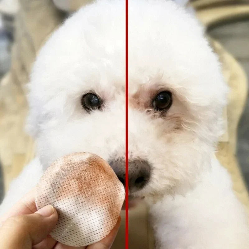 130Pcs/set Pet Eye Wipes Dog and Cat Cleaning Wipes Pet Eye Wipes Grooming Tear Stain Remover Gentle Non-foaming Wipes Towels