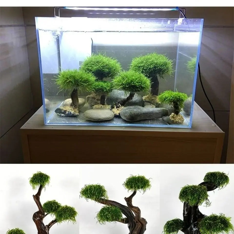 Fish tank greening wood frame planting decoration accessories Moss tree frame (no Moss) Aquarium planting driftwood decoration