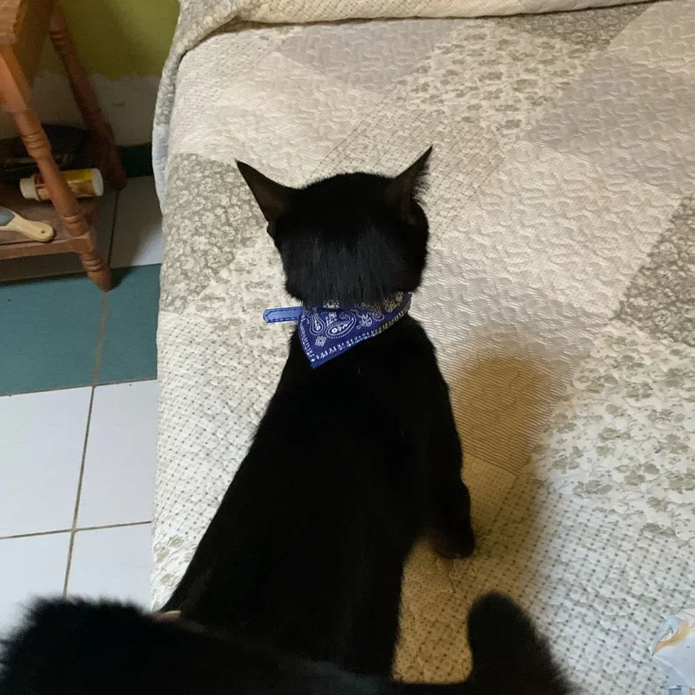 Cute Printed Bandana Cat Collar Puppy Dog Cat Scarf Collar Adjustable Triangular Pet Bandana Collar for Kittens Small Animals