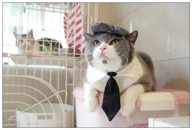 Funny Pet Cat Hat and tie Gentleman's Hat Beret Tie Bathing Blood Gangster Handsome Cosplay Photo Prop Pet Halloween Costume