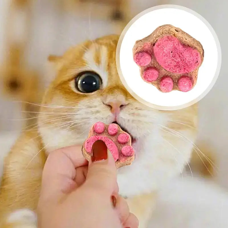 Paw Cat Treats Cat Snacks Cat Paw Biscuits Kitten Treats Healthy Cat Treats Dry Cat Treats Natural Cat Biscuits Cat Food Treats