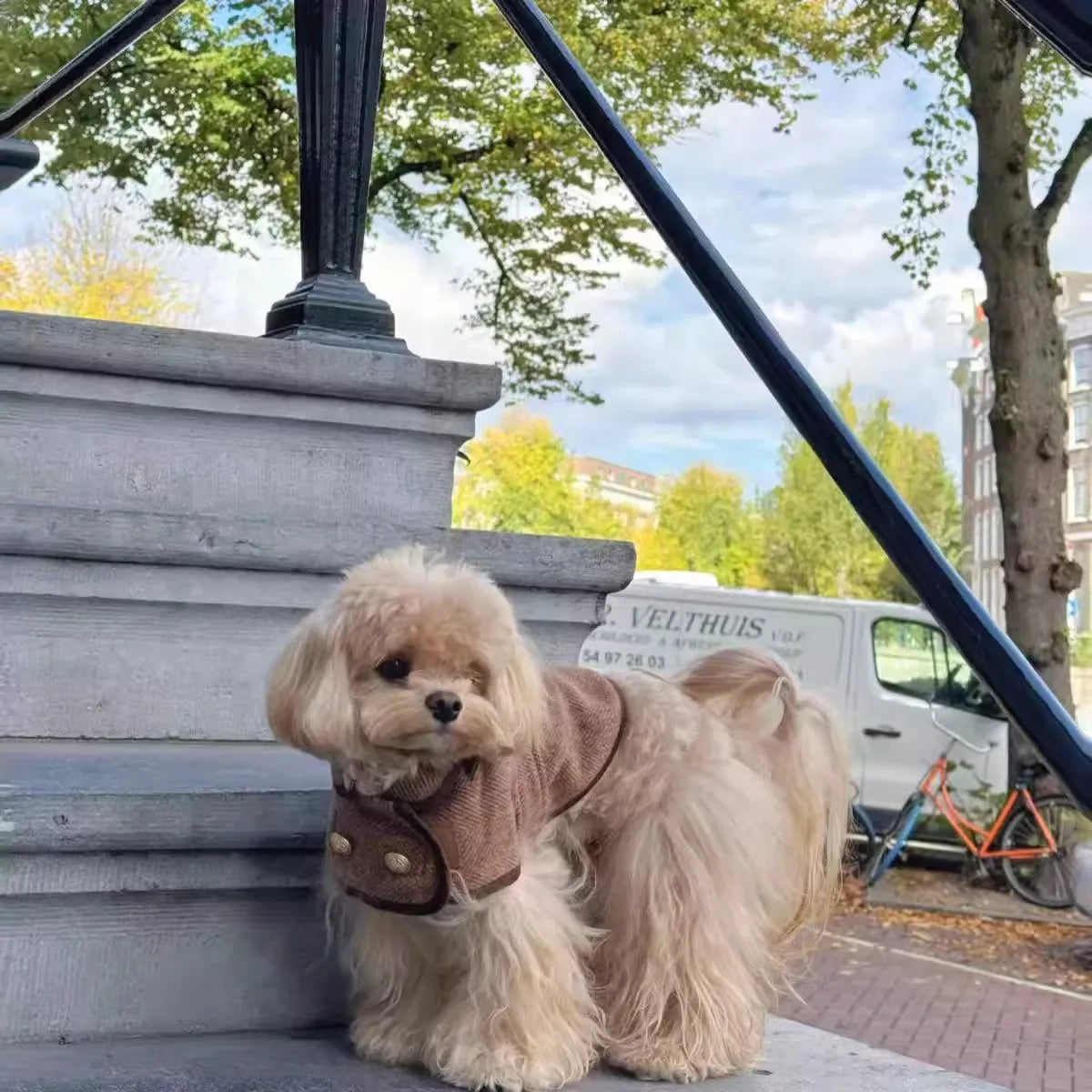Fashionable British-Style Brown Pet Coat With Woolen Fabric - Dog Clothing