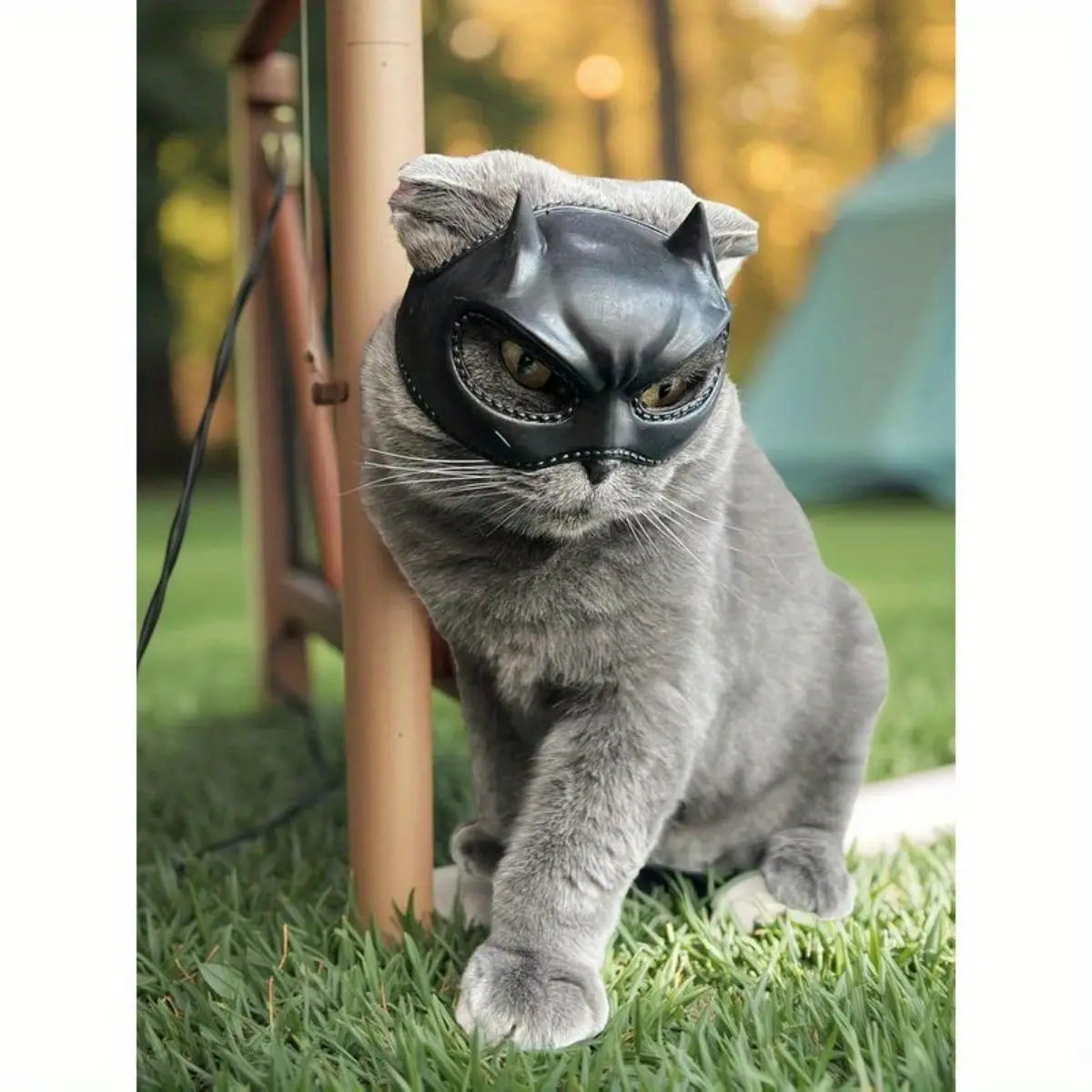 Cat Bat Mask Feline Role-play Headpiece Latex Material Soft and Form-fitting Pet Costume Accessory Whimsical and Adorable Cat Costume
