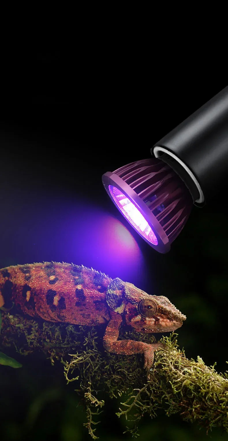Reptile Imitation Moonlight Night Sleep Lighting Lamp 110/220V Night Lamp Turtle Lizard Snake Reptile Amphibian Pets Accessories