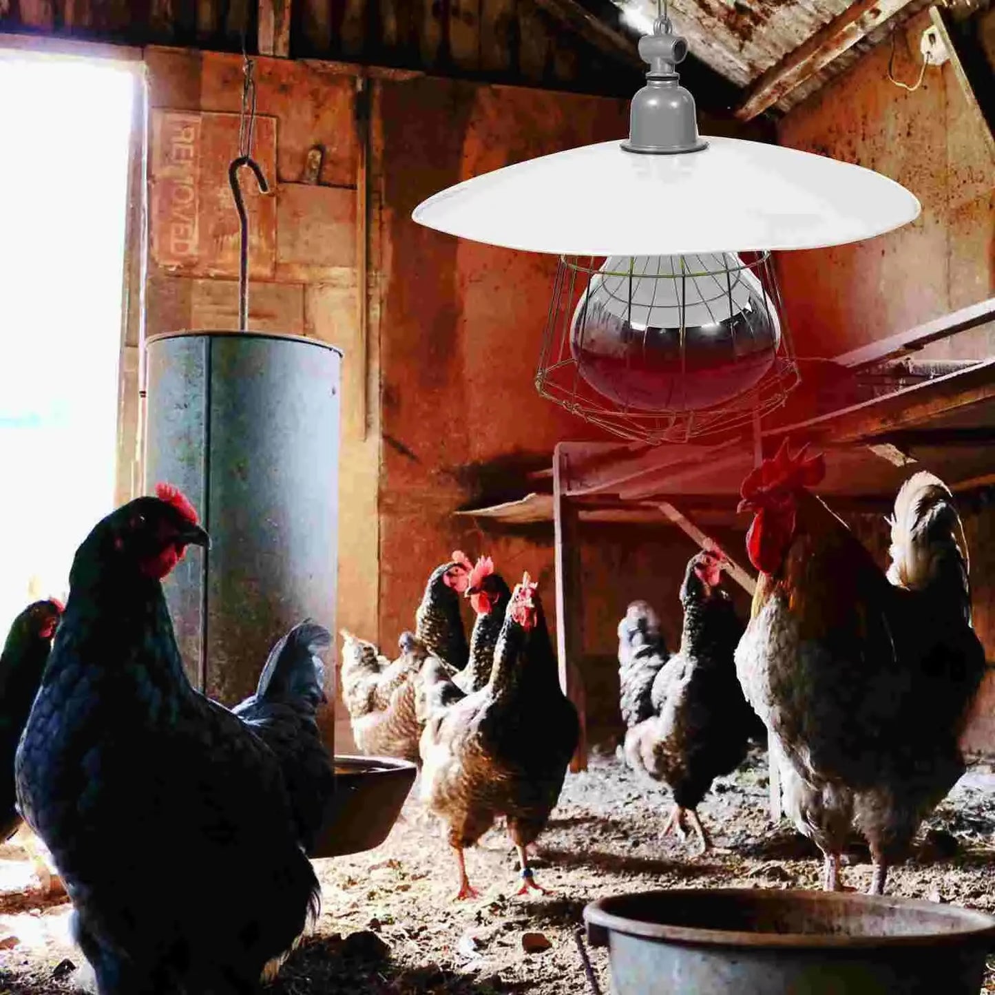 220V Poultry Heating Bulb 150/200/250W Infrared Insulation Heat for Reptiles Plants Amphibians Pets Livestock and Poultry