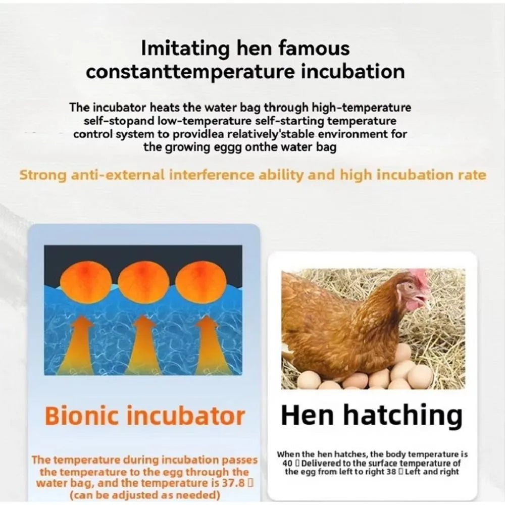 24-hour Thermostatic Small Poultry Egg Incubator Temperature Control Intelligent Biomimetic Waterbed Full Automatic Quiet