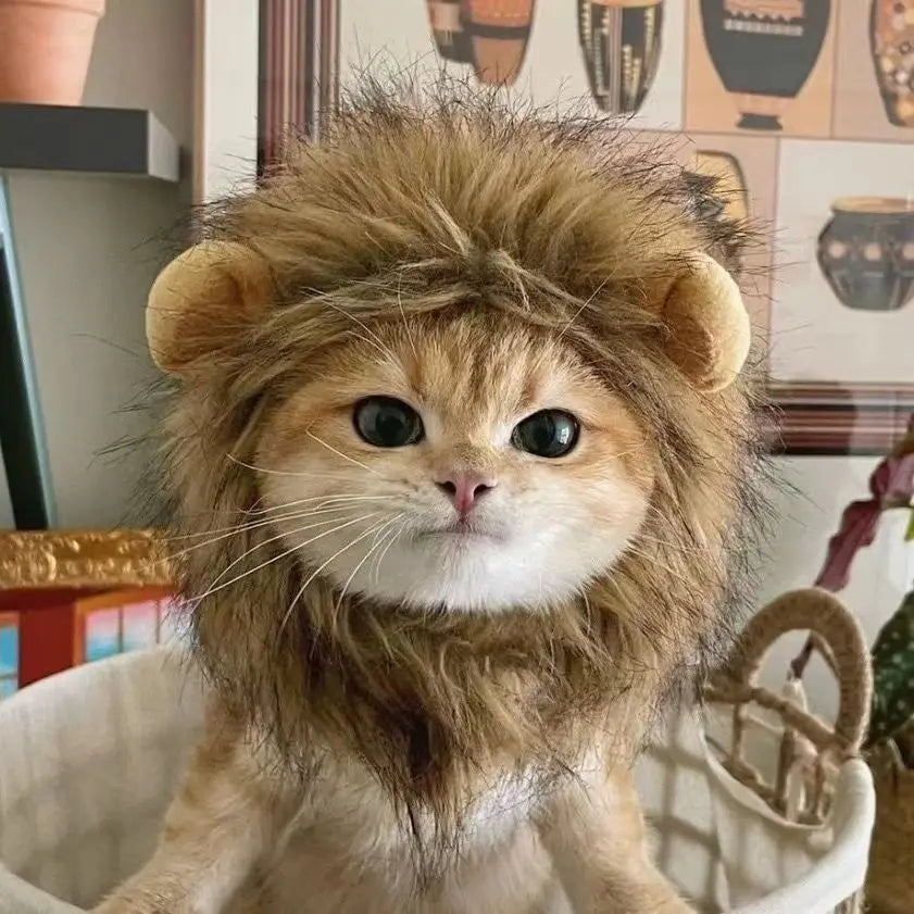 New Cute Funny Lion Mane Wig Hat for Pets Cat Dog Cosplay Costume with Ears Fancy Party Supplies