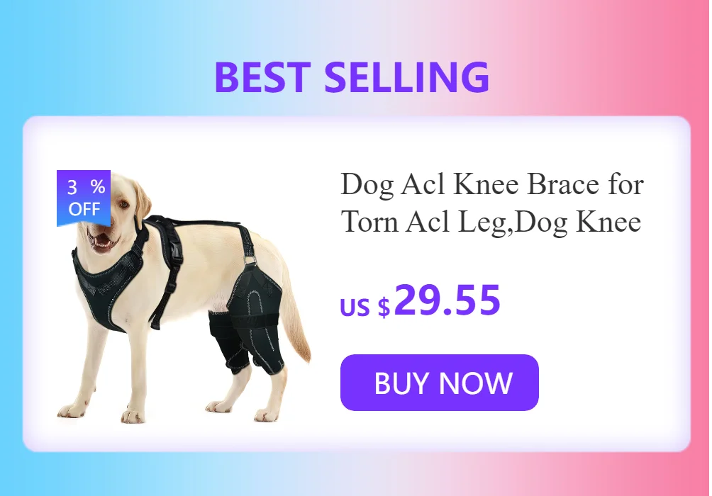 Handmade Sphinx Cosplay Cat Costumes Hairless Cat Clothes Cats Costumes Crotch-Proof Trousers Cat Clothes