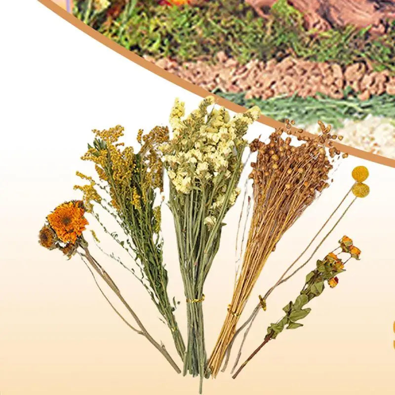 Flower Hamster Bedding Dried Flowers And Grass Hamster Cage Decoration Animal Deodorant Hamster Landscaping Supplies