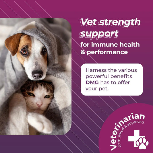 Vetri DMG Liquid Drop - 114ml Bottle - Immune Support Supplements for Dogs or Cats