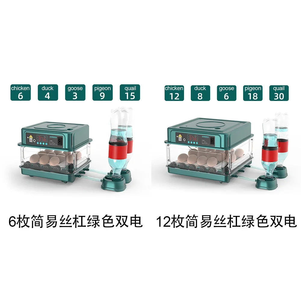 6-12 Eggs Incubator for Chicken Goose Bird Quail Automatic Incubation Equipment Hatchery Incubation Tool US Plug Dual Electric design
