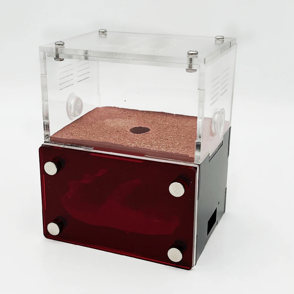 Acrylic Ant Farm Newbie The Concrete Ant Nest With Moisturizing Water Tower Queen Ant Breeding Insect House Anthill Workshop