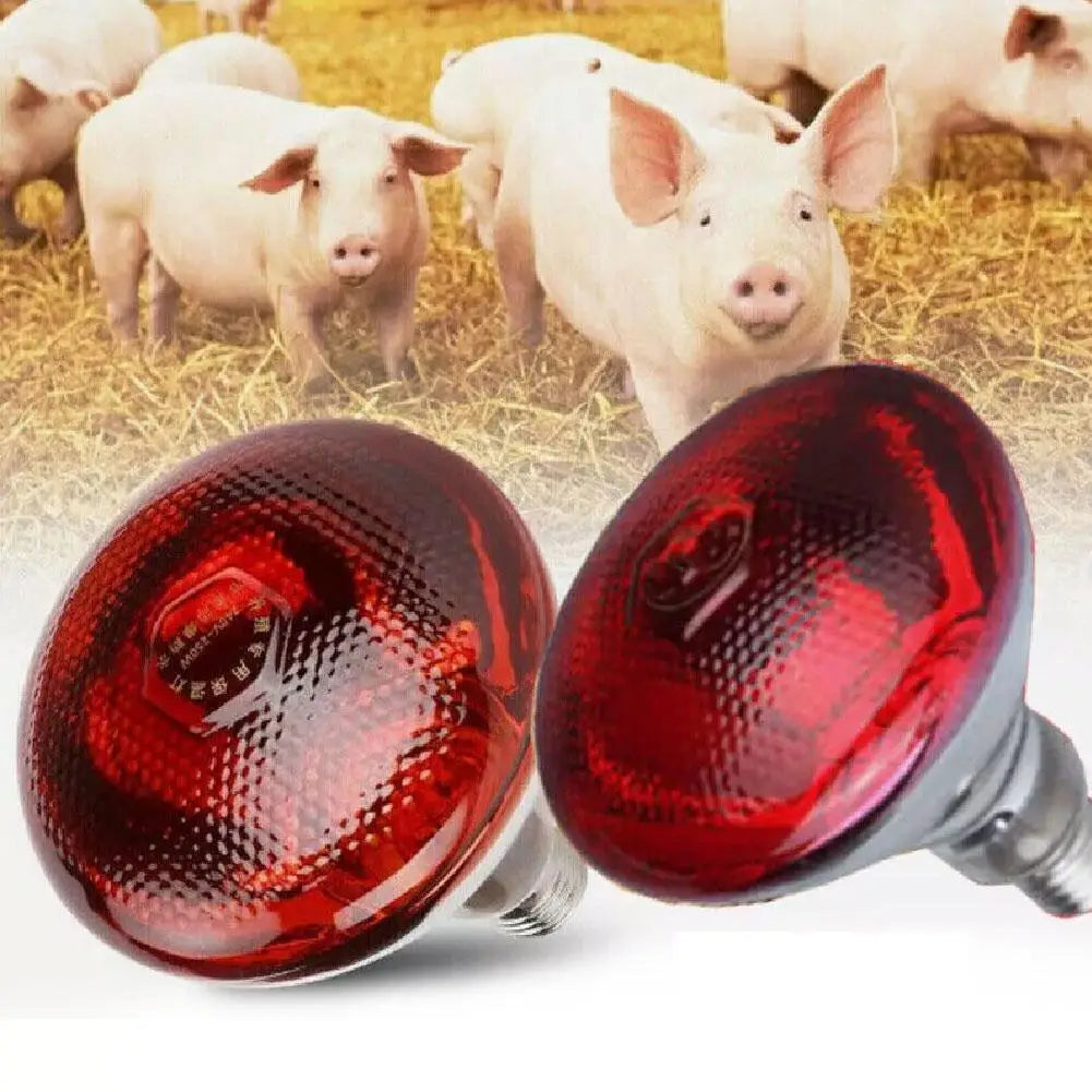 Red Heat Bulb Lamp Heat Preservation Lamp Breeding Heating Lamp Infrared Waterproof Thickening Baking Lamp For Chicks Piglets