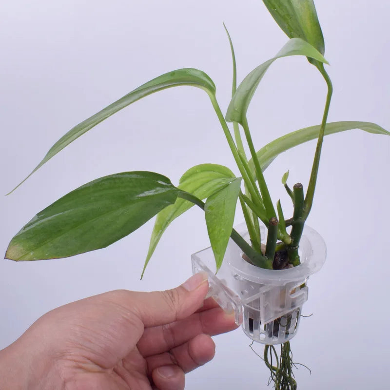 Aquatic Plant Hanging Holder Adjustable Fish Tank Planter Cups with Hole Aquarium Planter Cups for Aquascape Decoration