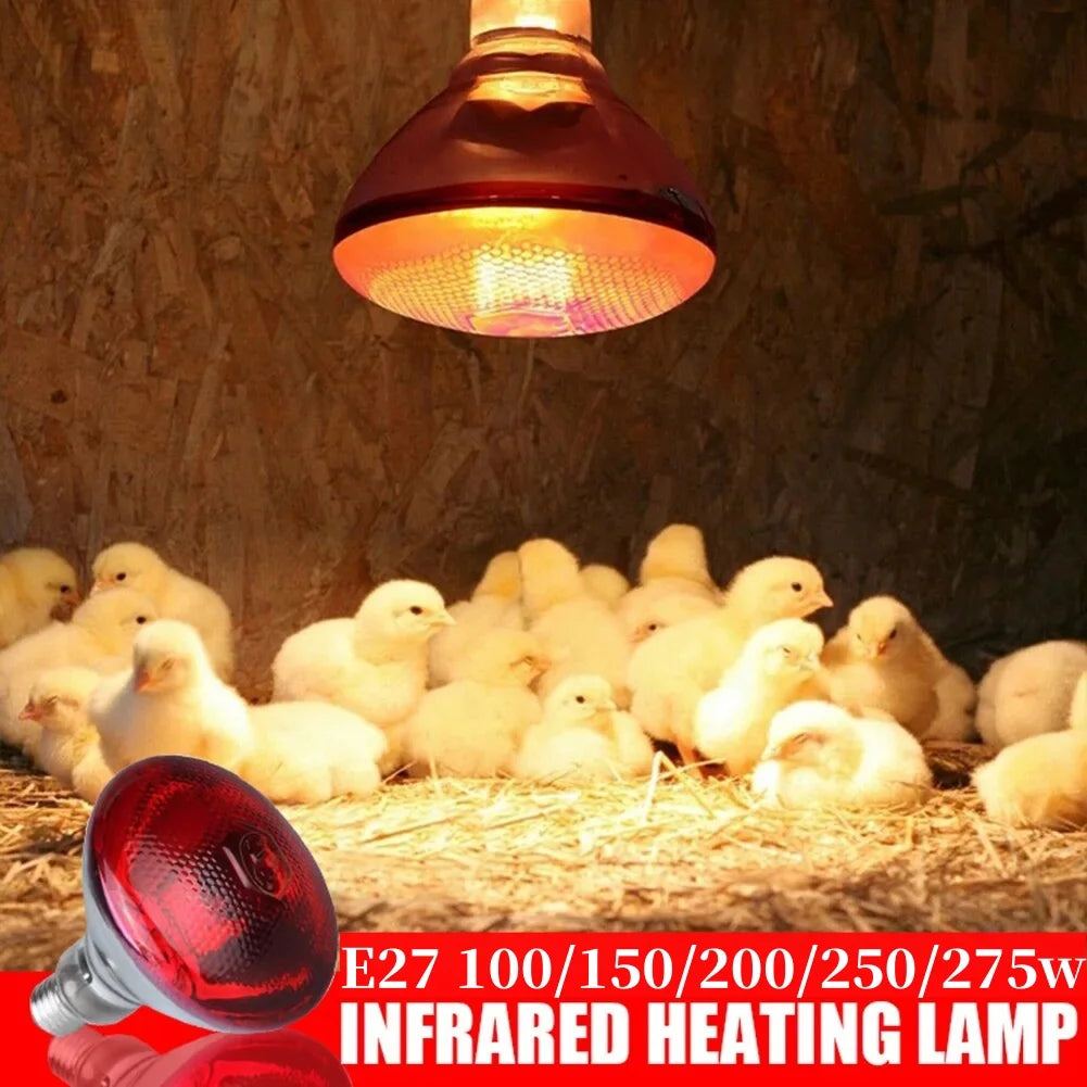 Durable Poultry Heating Lamp Breeding Bulb High Quality E27 100/150/250/275W LED Light Pet Brooder Hatch Chick Heater Bulb
