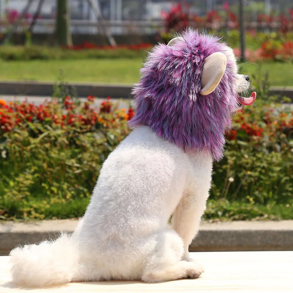 Cat Costume Cute Lion Mane Wig Hat for Cat Puppy Dog Decor Accessories Lion Kitten Cat Wig Fancy Hair Cap Halloween Pet Supplies