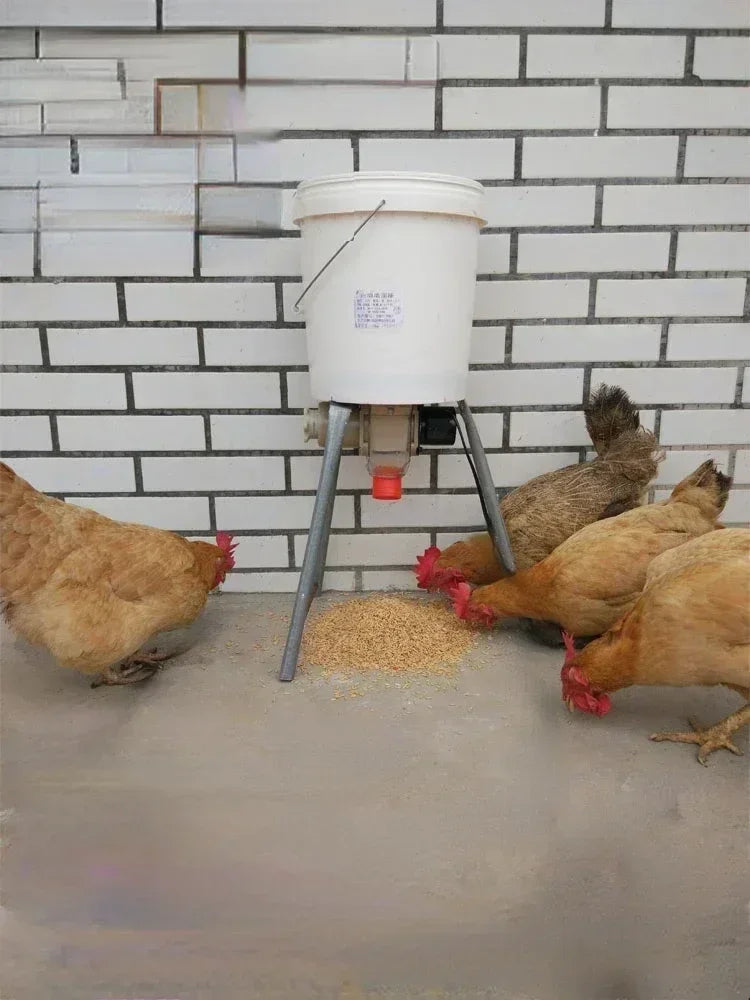 Automatic Chicken Feeder Pigeon Chicken Duck Carrier Pigeon Trough Intelligent Timing Automatic Chicken Feeder Pigeon Supplies