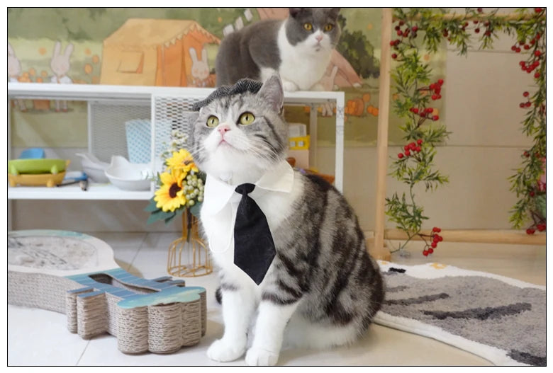Funny Pet Cat Hat and tie Gentleman's Hat Beret Tie Bathing Blood Gangster Handsome Cosplay Photo Prop Pet Halloween Costume