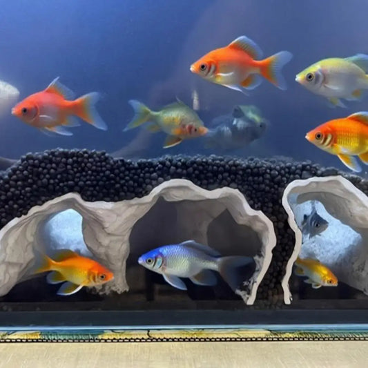 Aquarium Cave Tunnel under Gravel Fish Hideout Fish Tank Decoration Natural Curve Hideout for Pleco Shrimp Corydoras Catfish