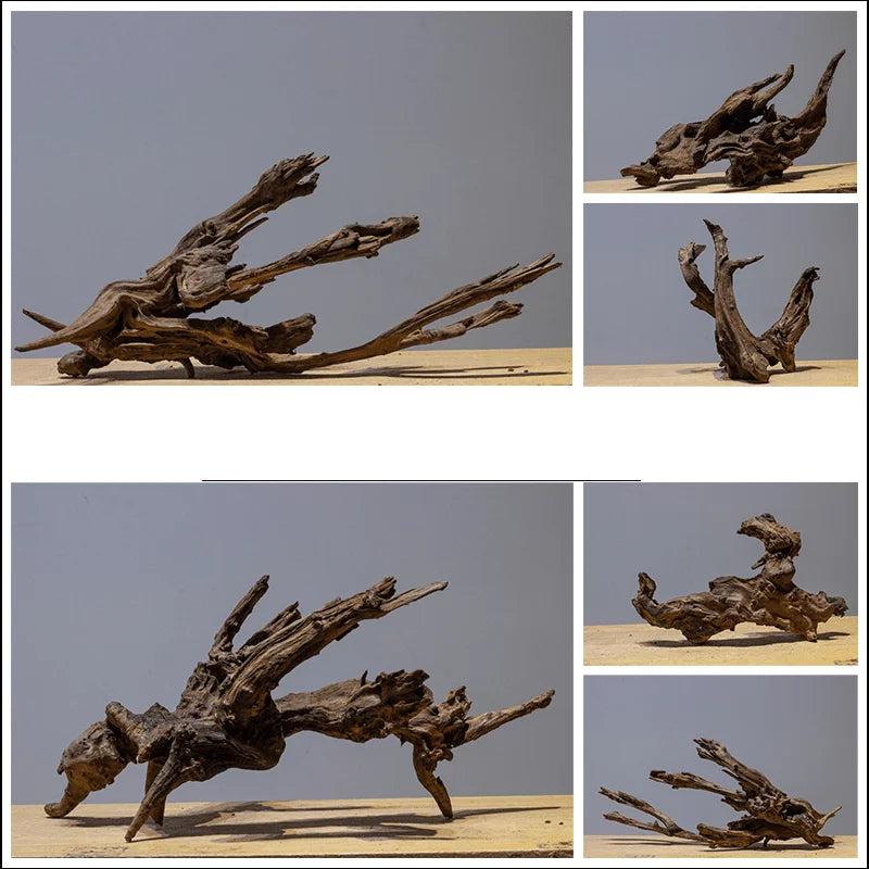 Drift Wood fish tank decoration drift wood terrarium Plants for Natural wood Driftwood décor Aquariums Driftwood fish tank Branch