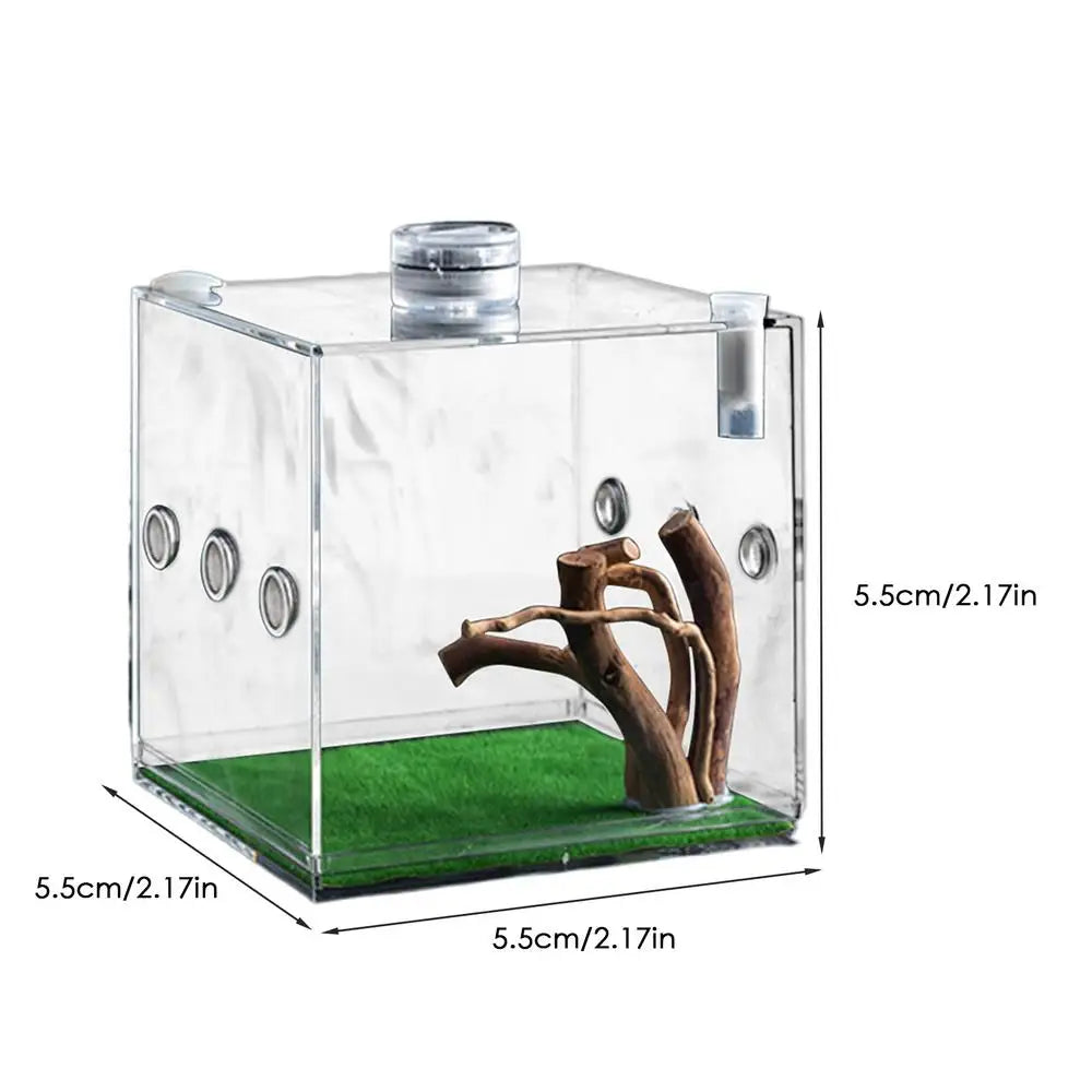 Spider Reptile Insect Feeding Box Reptile Breeding Box Terrarium Accessories Insect Box For Spider Cricket Snail Tarantula