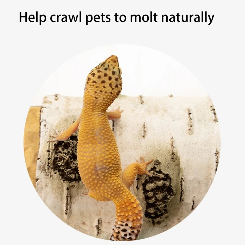 Hideout Cave Small Animal Hide Resin Log Pet Tortoise Escape Habitat Safe for Lizards Leopard Geckos Scorpions