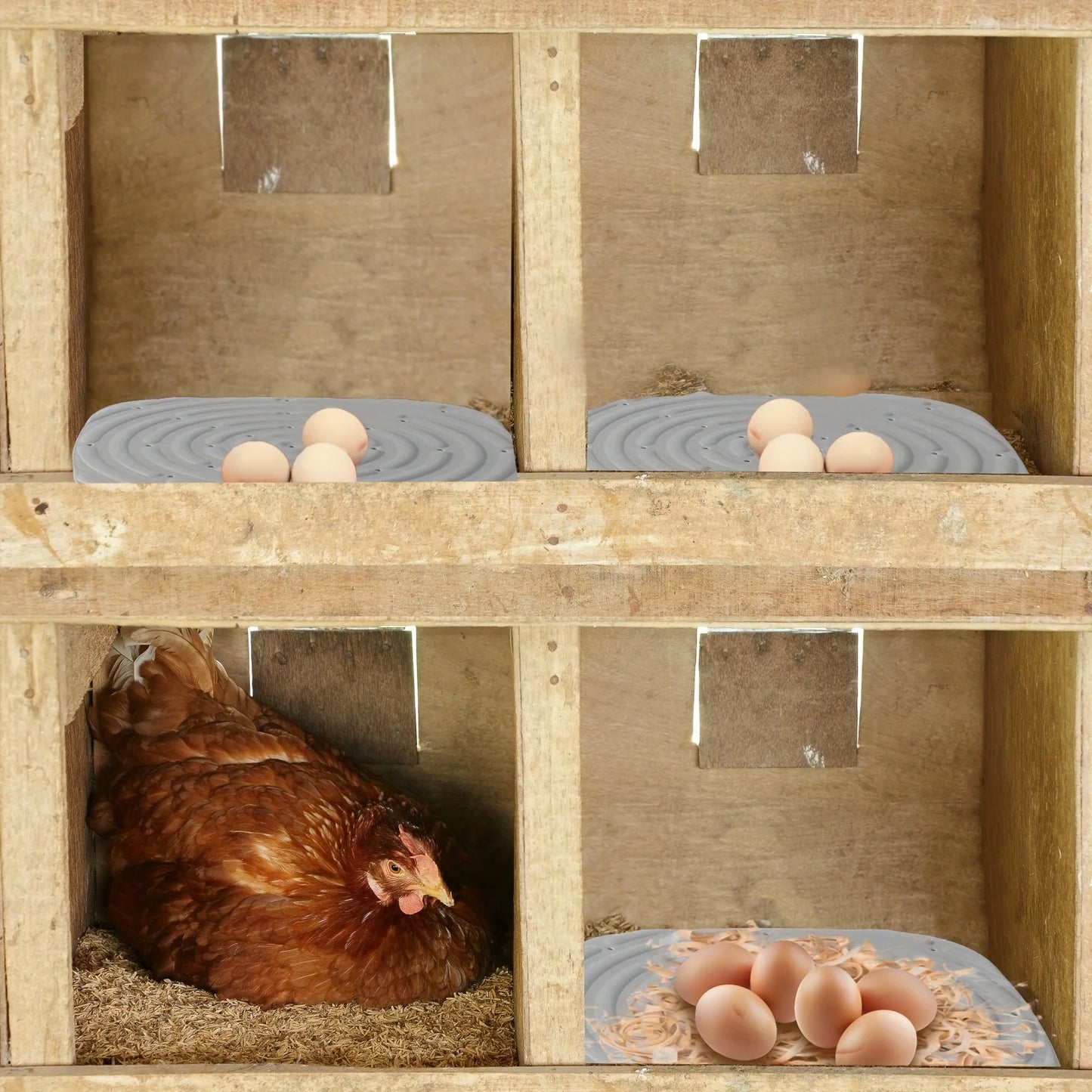 Soft & Durable 2pcs Washable Chicken Nesting Pads - Reusable Coop Liners for Portable Chicken Boxes